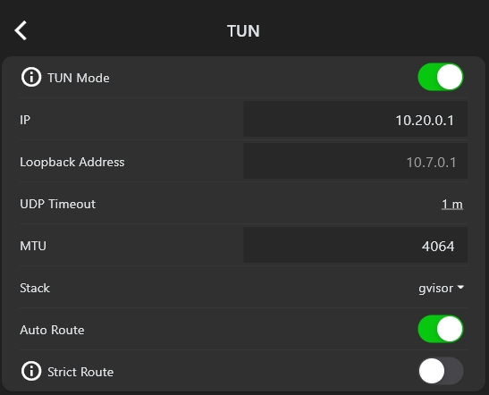 Enable TUN